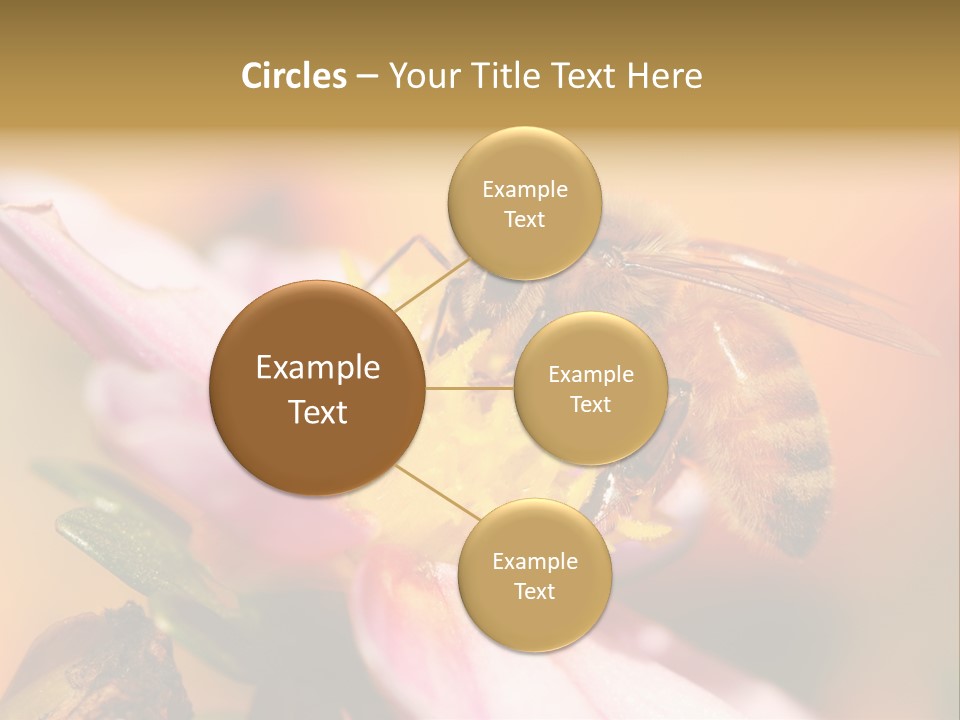 Water Old Ocean PowerPoint Template