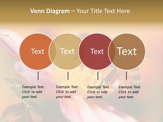 Water Old Ocean PowerPoint Template