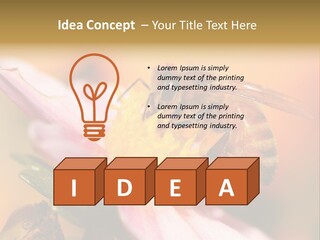 Water Old Ocean PowerPoint Template