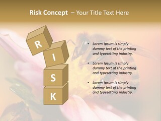 Water Old Ocean PowerPoint Template