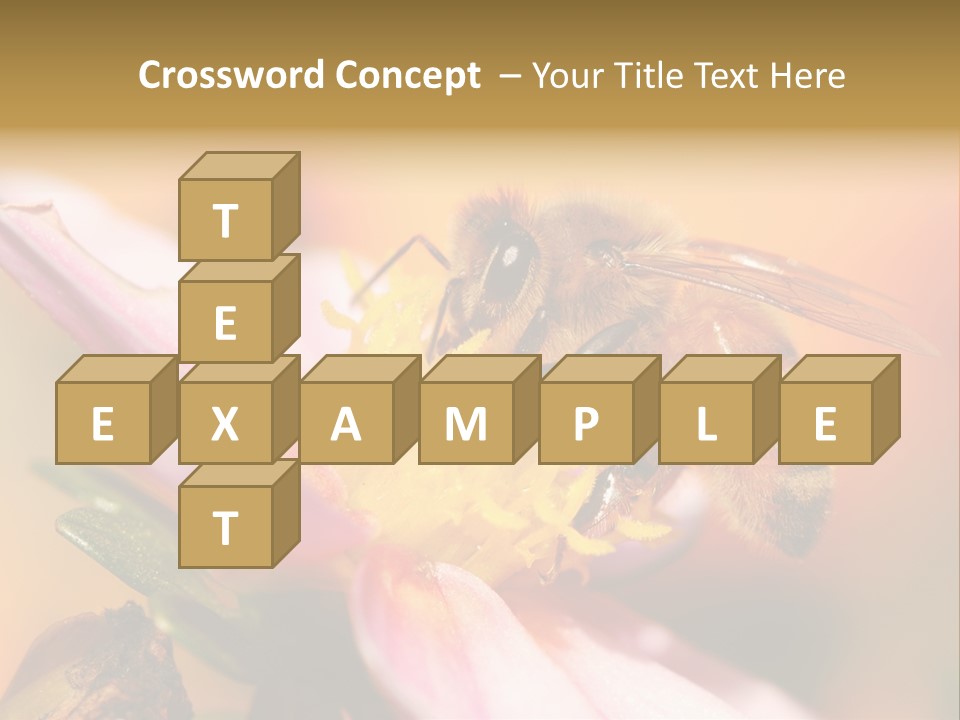 Water Old Ocean PowerPoint Template