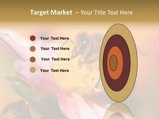 Water Old Ocean PowerPoint Template