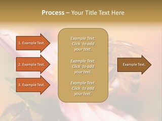 Water Old Ocean PowerPoint Template