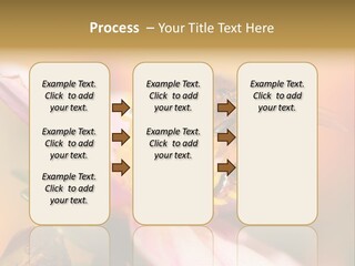 Water Old Ocean PowerPoint Template