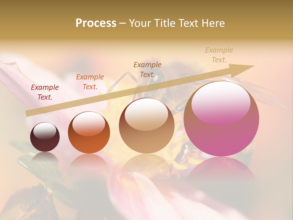 Water Old Ocean PowerPoint Template