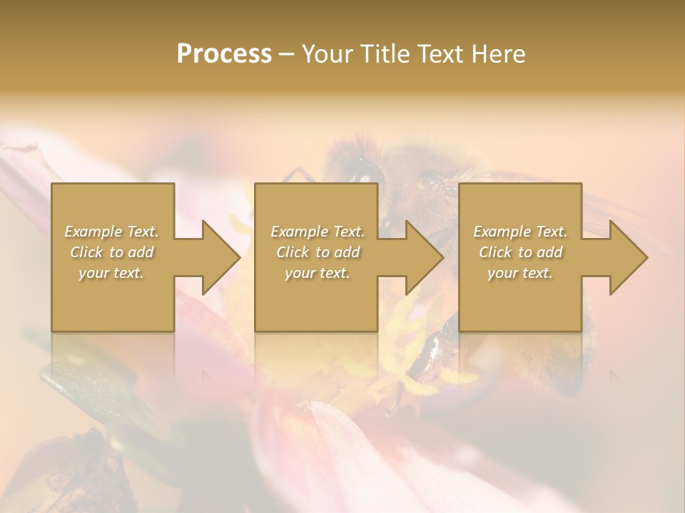 Water Old Ocean PowerPoint Template