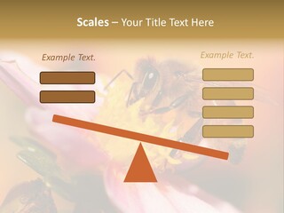 Water Old Ocean PowerPoint Template