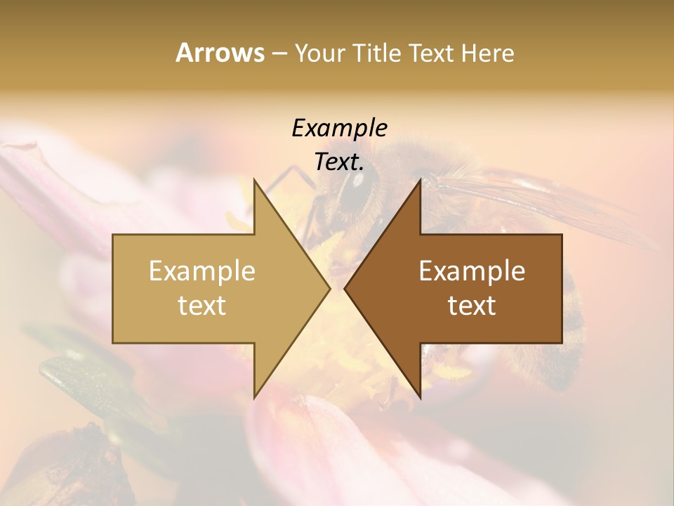 Water Old Ocean PowerPoint Template