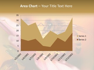 Water Old Ocean PowerPoint Template