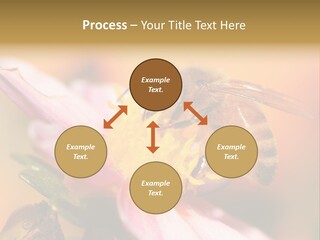 Water Old Ocean PowerPoint Template