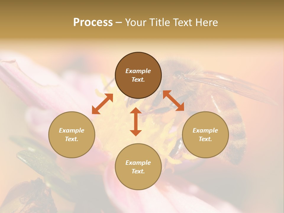 Water Old Ocean PowerPoint Template