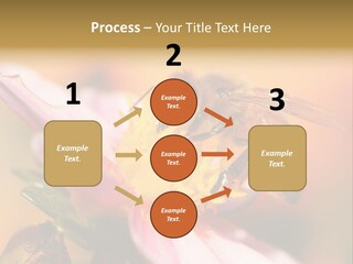 Water Old Ocean PowerPoint Template