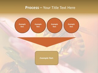 Water Old Ocean PowerPoint Template