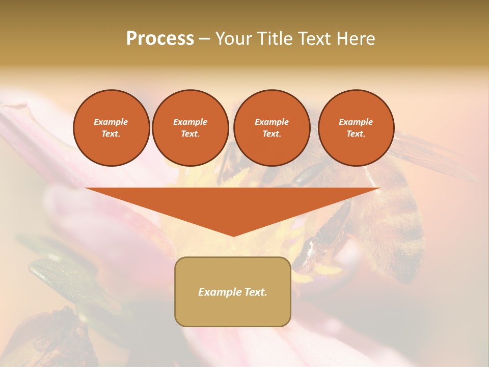 Water Old Ocean PowerPoint Template