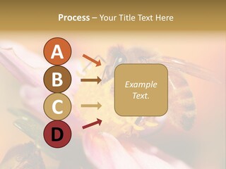 Water Old Ocean PowerPoint Template