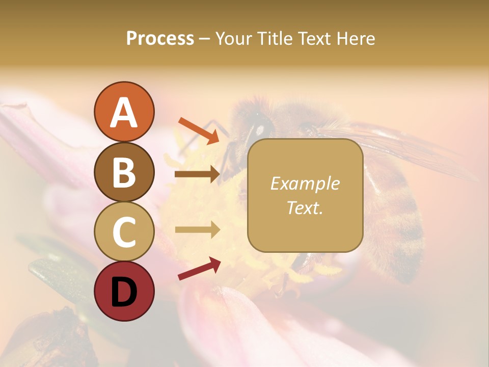 Water Old Ocean PowerPoint Template