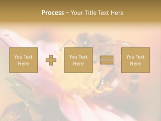 Water Old Ocean PowerPoint Template