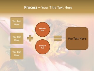 Water Old Ocean PowerPoint Template