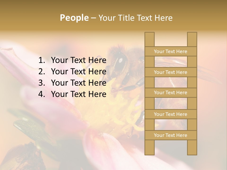 Water Old Ocean PowerPoint Template