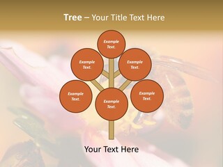 Water Old Ocean PowerPoint Template