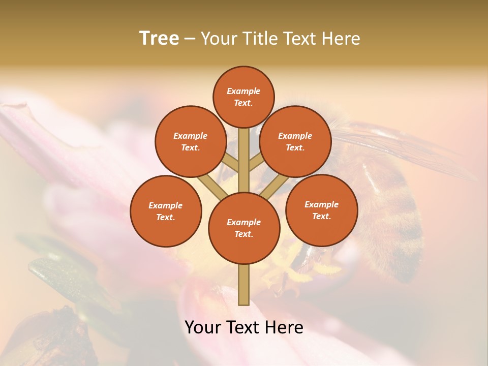 Water Old Ocean PowerPoint Template