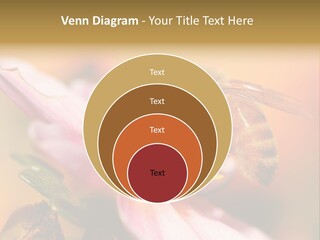 Water Old Ocean PowerPoint Template