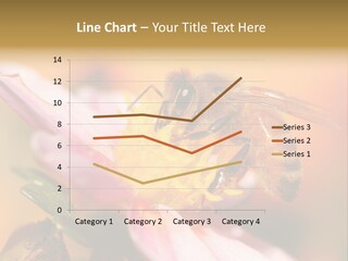 Water Old Ocean PowerPoint Template