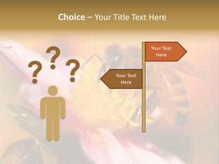 Water Old Ocean PowerPoint Template