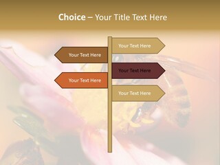 Water Old Ocean PowerPoint Template