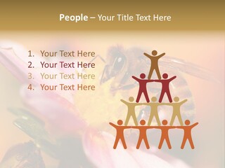 Water Old Ocean PowerPoint Template