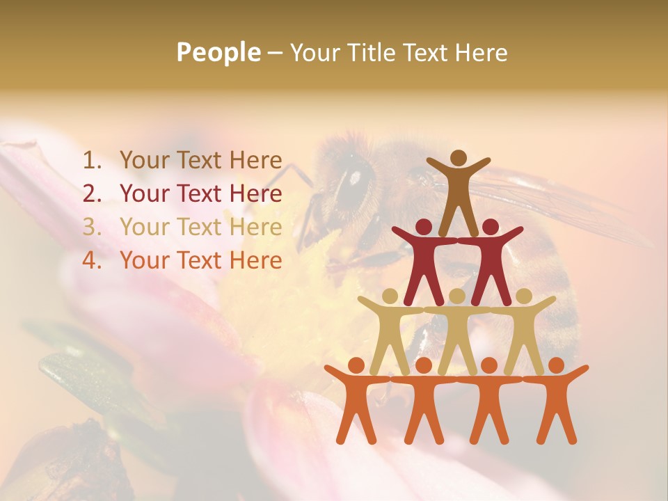 Water Old Ocean PowerPoint Template