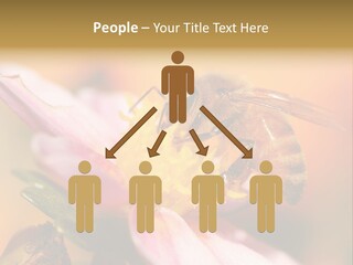 Water Old Ocean PowerPoint Template