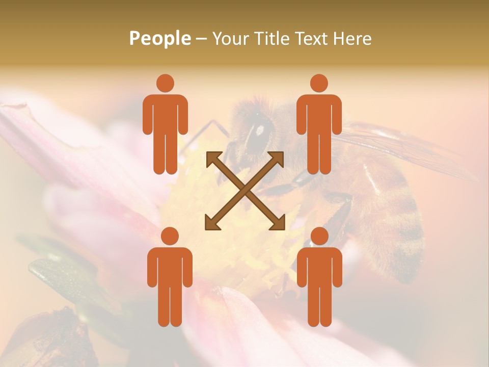 Water Old Ocean PowerPoint Template