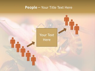 Water Old Ocean PowerPoint Template