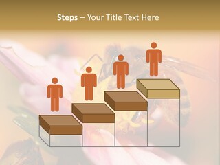 Water Old Ocean PowerPoint Template