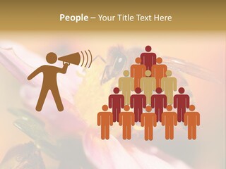 Water Old Ocean PowerPoint Template