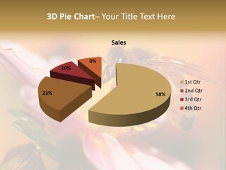 Water Old Ocean PowerPoint Template