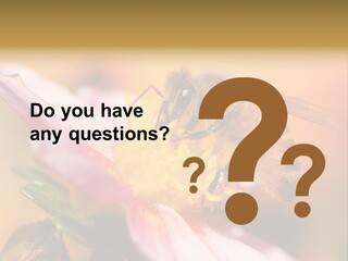 Water Old Ocean PowerPoint Template