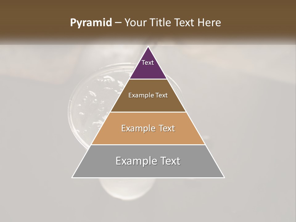 Ocean Older Family PowerPoint Template