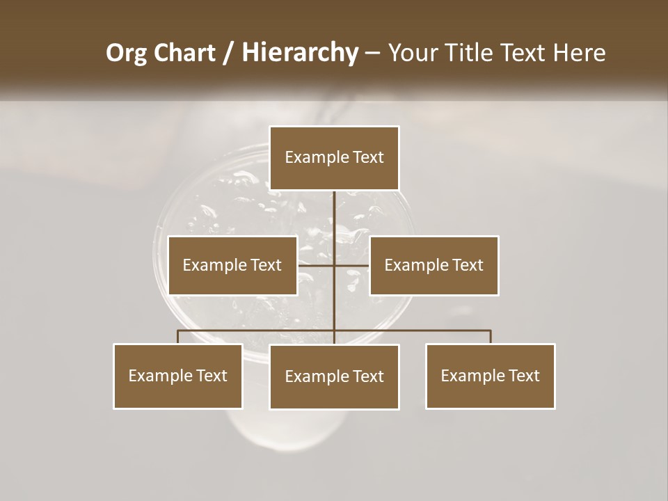 Ocean Older Family PowerPoint Template