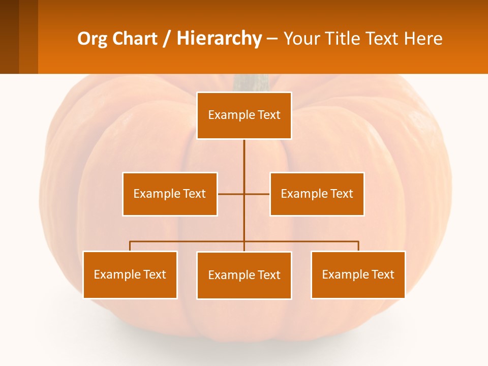 Elderly Coast Woman PowerPoint Template