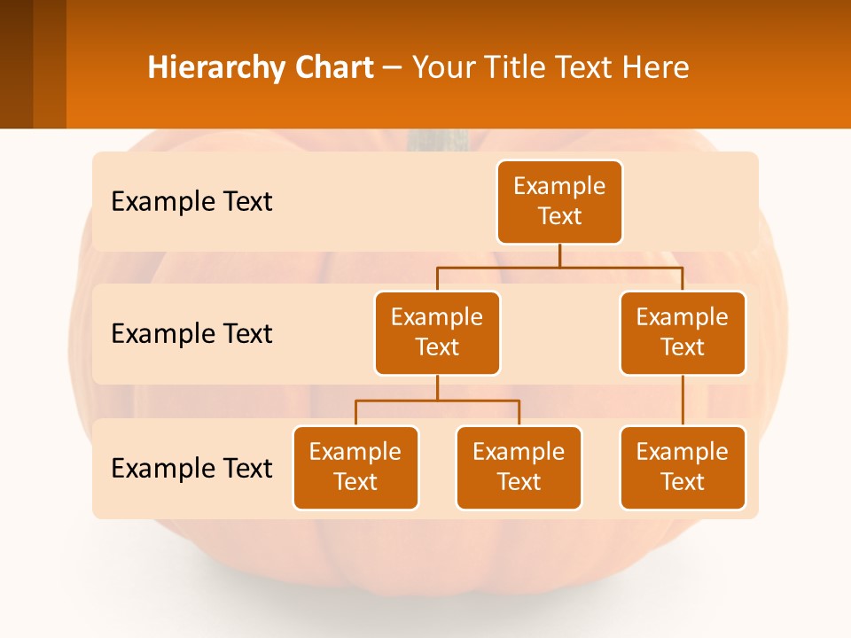 Elderly Coast Woman PowerPoint Template