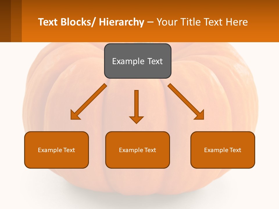 Elderly Coast Woman PowerPoint Template