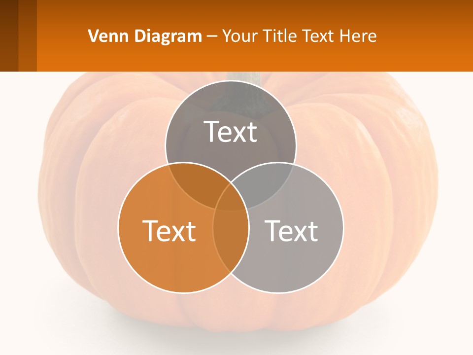 Elderly Coast Woman PowerPoint Template