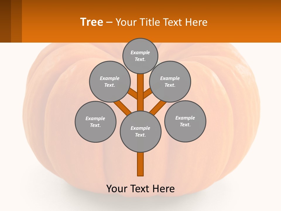 Elderly Coast Woman PowerPoint Template