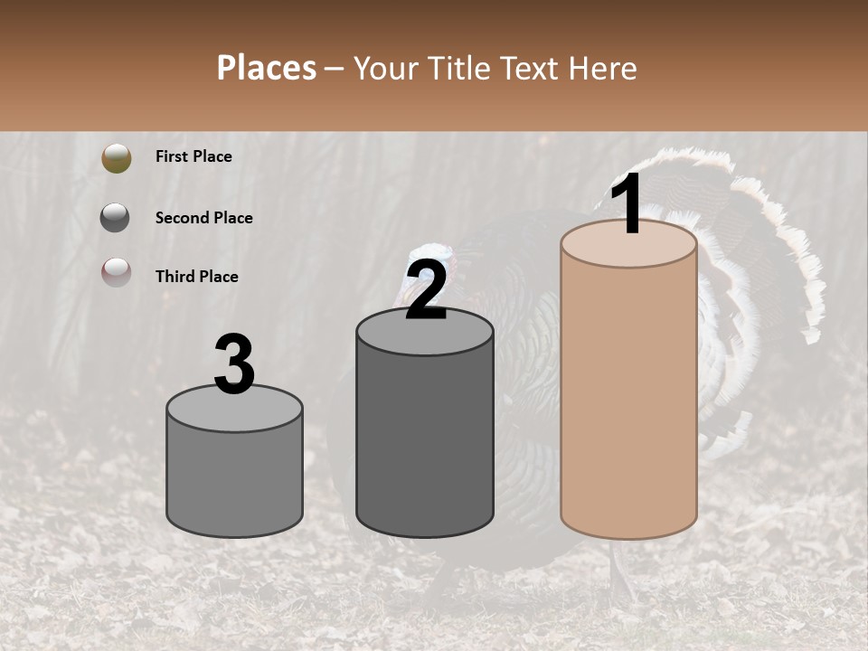 Portrait Single White PowerPoint Template