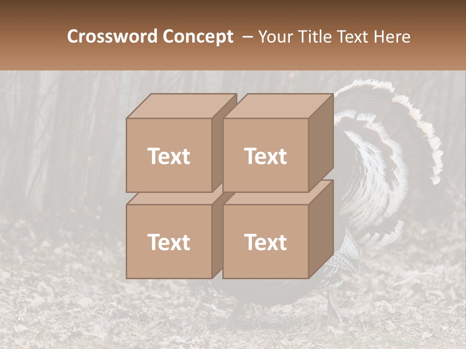 Portrait Single White PowerPoint Template