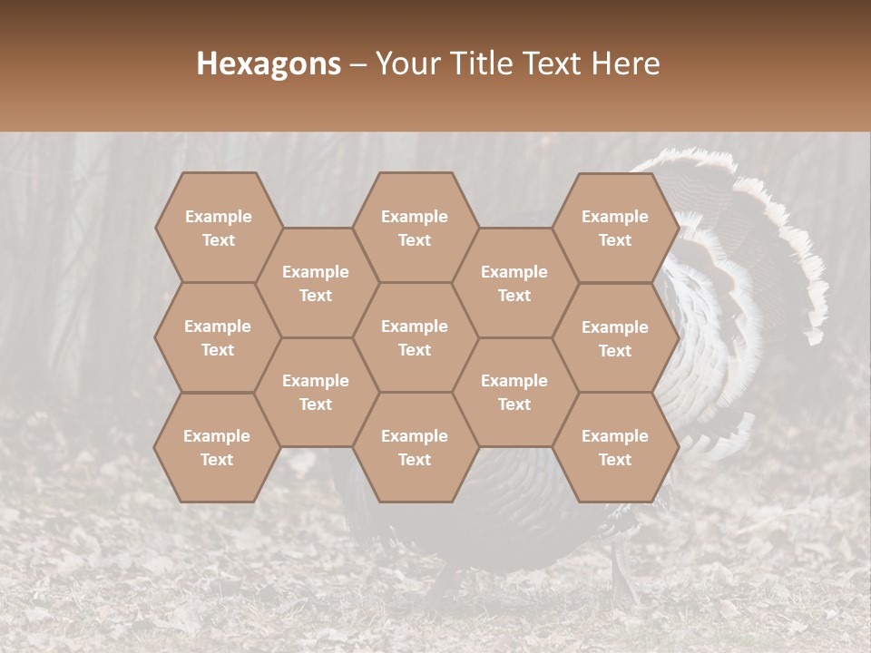 Portrait Single White PowerPoint Template