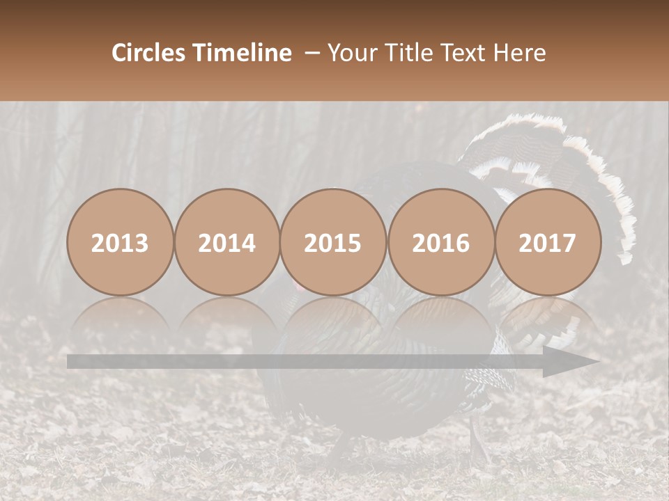 Portrait Single White PowerPoint Template