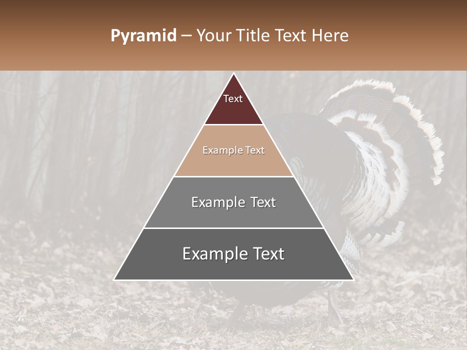 Portrait Single White PowerPoint Template